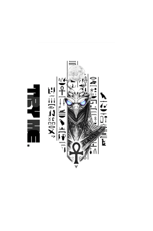 Horus 01 || Oversized Heavy Weight T-Shirt (Dark) - TryMe.