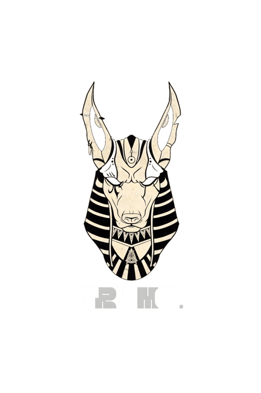 Anubis 03 || Oversized Heavy Weight T-Shirt (Light) - TryMe.